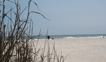 View of Pawleys Island Beach through sea oats on the dunes