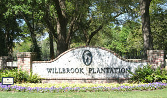 Willbrook Plantation SC real estate